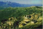 ath alouane